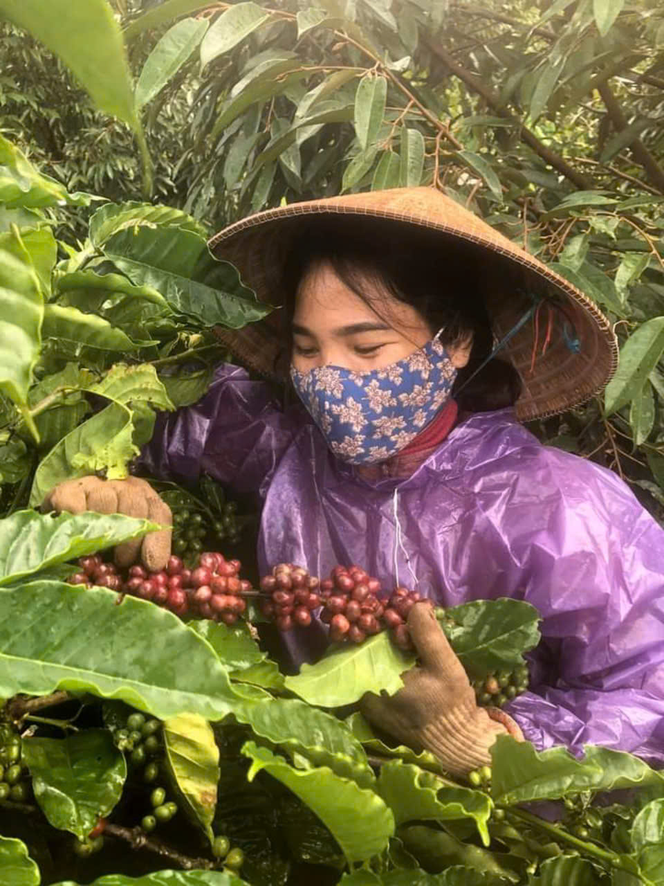Gương điển hình phụ nữ làm kinh tế giỏi từ vốn vay ngân hàng chính sách
